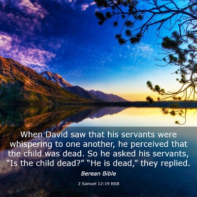 Picture 03 - 2 Samuel 12:19 BSB - When David saw that his servants were whispering - Bible Verse Picture
