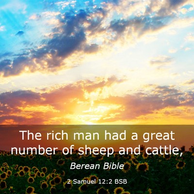 Picture 03 - 2 Samuel 12:2 BSB - The rich man had a great number of sheep and - Bible Verse Picture