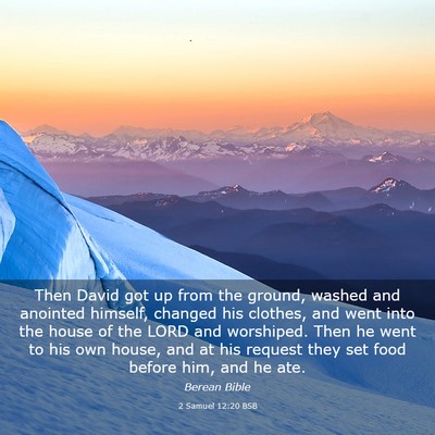 Picture 03 - 2 Samuel 12:20 BSB - Then David got up from the ground, washed and - Bible Verse Picture
