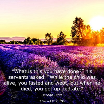 Picture 03 - 2 Samuel 12:21 BSB - “What is this you have done?” his servants - Bible Verse Picture