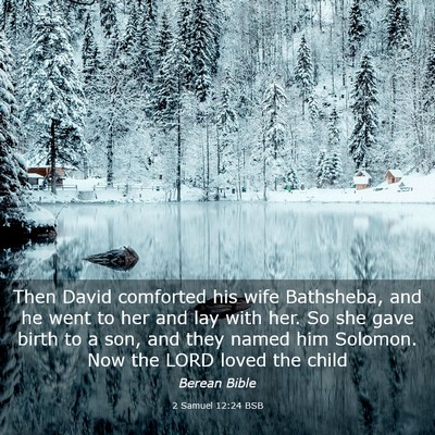 Picture 03 - 2 Samuel 12:24 BSB - Then David comforted his wife Bathsheba, and he - Bible Verse Picture