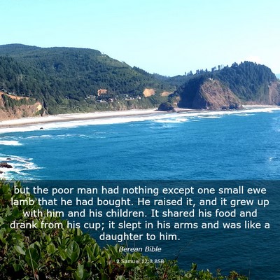 Picture 03 - 2 Samuel 12:3 BSB - but the poor man had nothing except one small ewe - Bible Verse Picture