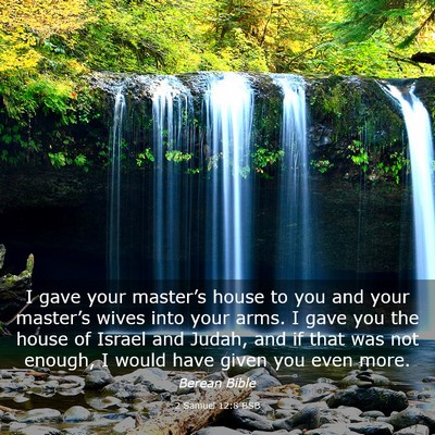 Picture 03 - 2 Samuel 12:8 BSB - I gave your master’s house to you and your - Bible Verse Picture