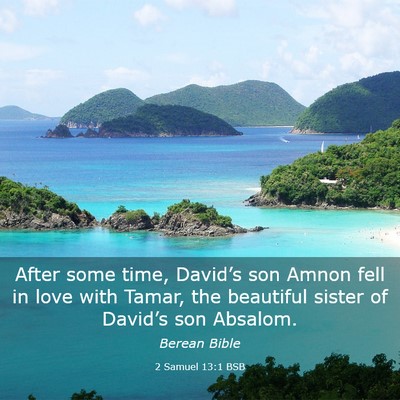 Picture 03 - 2 Samuel 13:1 BSB - After some time, David’s son Amnon fell in love - Bible Verse Picture