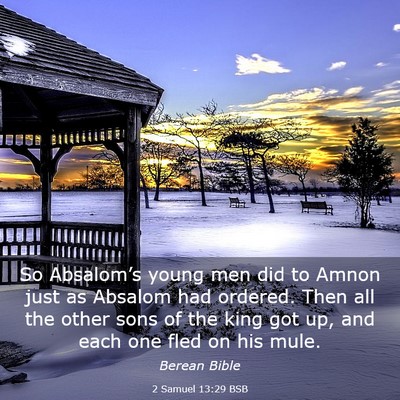 Picture 03 - 2 Samuel 13:29 BSB - So Absalom’s young men did to Amnon just as - Bible Verse Picture