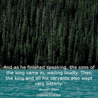 Picture 03 - 2 Samuel 13:36 BSB - And as he finished speaking, the sons of the king - Bible Verse Picture