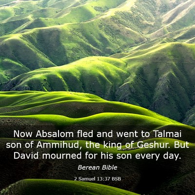 Picture 03 - 2 Samuel 13:37 BSB - Now Absalom fled and went to Talmai son of - Bible Verse Picture