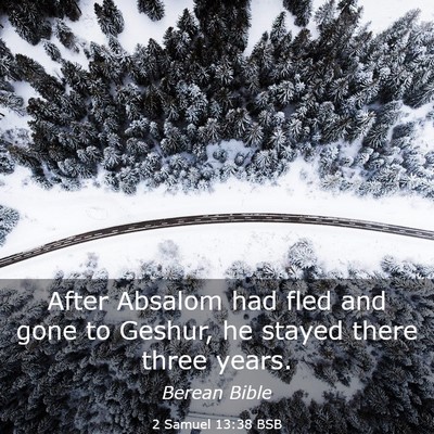 Picture 03 - 2 Samuel 13:38 BSB - After Absalom had fled and gone to Geshur, he - Bible Verse Picture