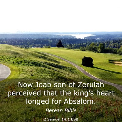 Picture 03 - 2 Samuel 14:1 BSB - Now Joab son of Zeruiah perceived that the - Bible Verse Picture