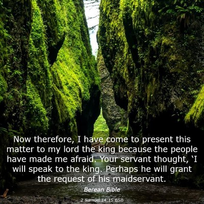 Picture 03 - 2 Samuel 14:15 BSB - Now therefore, I have come to present this matter - Bible Verse Picture