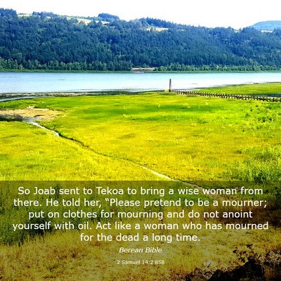 Picture 03 - 2 Samuel 14:2 BSB - So Joab sent to Tekoa to bring a wise woman from - Bible Verse Picture