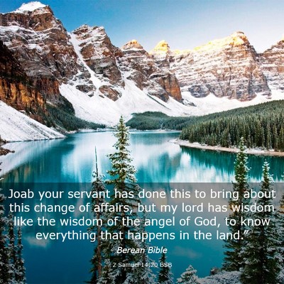 Picture 03 - 2 Samuel 14:20 BSB - Joab your servant has done this to bring about - Bible Verse Picture