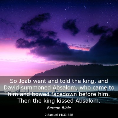 Picture 03 - 2 Samuel 14:33 BSB - So Joab went and told the king, and David - Bible Verse Picture