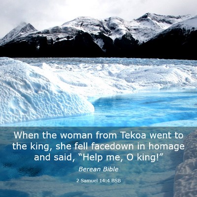 Picture 03 - 2 Samuel 14:4 BSB - When the woman from Tekoa went to the king, she - Bible Verse Picture