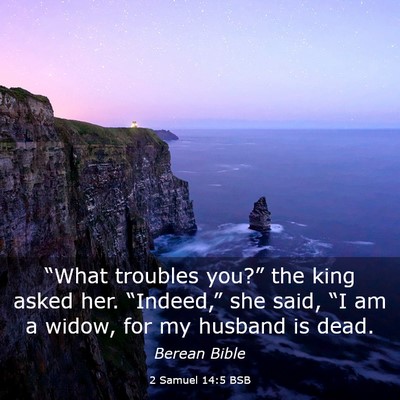 Picture 03 - 2 Samuel 14:5 BSB - “What troubles you?” the king asked her. - Bible Verse Picture