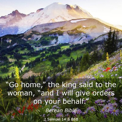 Picture 03 - 2 Samuel 14:8 BSB - “Go home,” the king said to the woman, “and - Bible Verse Picture