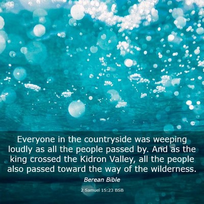 Picture 03 - 2 Samuel 15:23 BSB - Everyone in the countryside was weeping loudly as - Bible Verse Picture