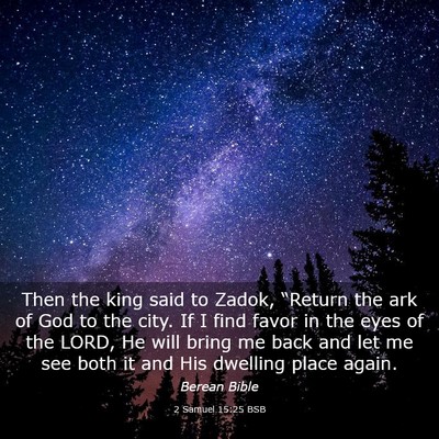 Picture 03 - 2 Samuel 15:25 BSB - Then the king said to Zadok, “Return the ark of - Bible Verse Picture
