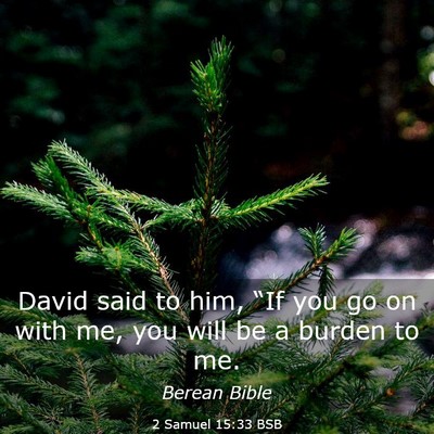 Picture 03 - 2 Samuel 15:33 BSB - David said to him, “If you go on with me, you - Bible Verse Picture