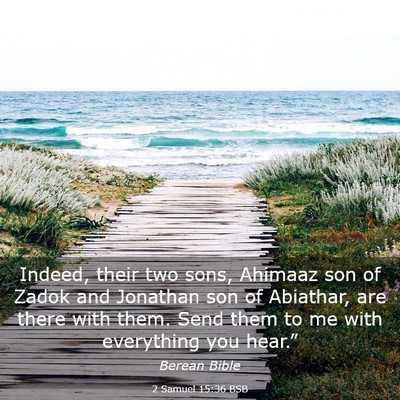 Picture 03 - 2 Samuel 15:36 BSB - Indeed, their two sons, Ahimaaz son of Zadok and - Bible Verse Picture