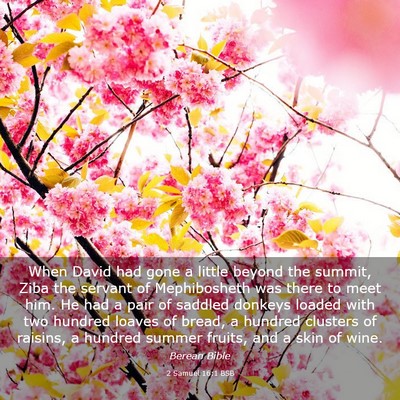 Picture 03 - 2 Samuel 16:1 BSB - When David had gone a little beyond the summit, - Bible Verse Picture