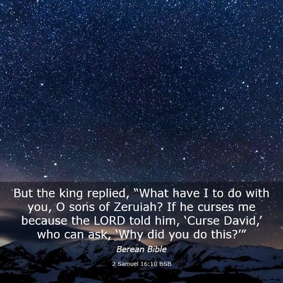 Picture 03 - 2 Samuel 16:10 BSB - But the king replied, “What have I to do with - Bible Verse Picture