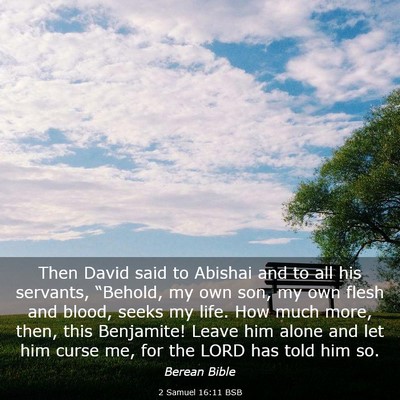 Picture 03 - 2 Samuel 16:11 BSB - Then David said to Abishai and to all his - Bible Verse Picture