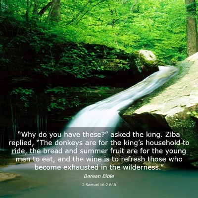 Picture 03 - 2 Samuel 16:2 BSB - “Why do you have these?” asked the king. Ziba - Bible Verse Picture