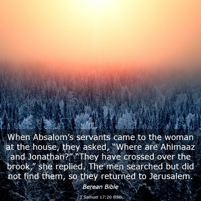 Picture 03 - 2 Samuel 17:20 BSB - When Absalom’s servants came to the woman at - Bible Verse Picture