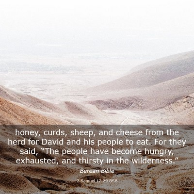 Picture 03 - 2 Samuel 17:29 BSB - honey, curds, sheep, and cheese from the herd for - Bible Verse Picture