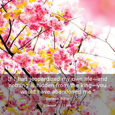 Picture 03 - 2 Samuel 18:13 BSB - If I had jeopardized my own life—and nothing is - Bible Verse Picture