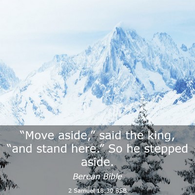 Picture 03 - 2 Samuel 18:30 BSB - “Move aside,” said the king, “and stand - Bible Verse Picture