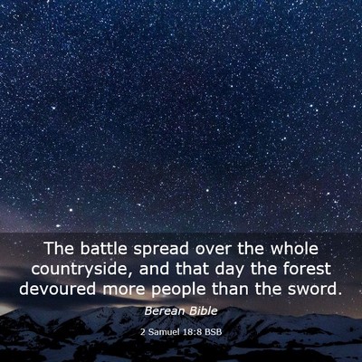 Picture 03 - 2 Samuel 18:8 BSB - The battle spread over the whole countryside, and - Bible Verse Picture