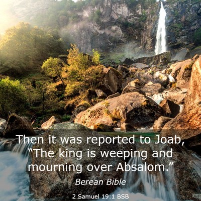 Picture 03 - 2 Samuel 19:1 BSB - Then it was reported to Joab, “The king is - Bible Verse Picture