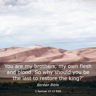 Picture 03 - 2 Samuel 19:12 BSB - You are my brothers, my own flesh and blood. So - Bible Verse Picture