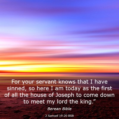 Picture 03 - 2 Samuel 19:20 BSB - For your servant knows that I have sinned, so - Bible Verse Picture