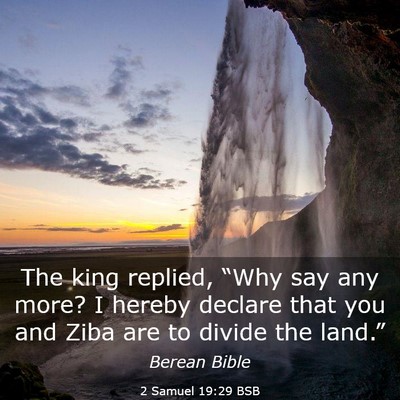 Picture 03 - 2 Samuel 19:29 BSB - The king replied, “Why say any more? I hereby - Bible Verse Picture