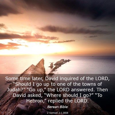 Picture 03 - 2 Samuel 2:1 BSB - Some time later, David inquired of the LORD, - Bible Verse Picture