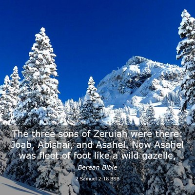 Picture 03 - 2 Samuel 2:18 BSB - The three sons of Zeruiah were there: Joab, - Bible Verse Picture