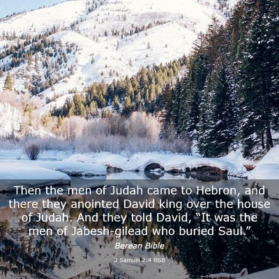 Picture 03 - 2 Samuel 2:4 BSB - Then the men of Judah came to Hebron, and there - Bible Verse Picture