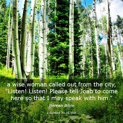 Picture 03 - 2 Samuel 20:16 BSB - a wise woman called out from the city, “Listen! - Bible Verse Picture