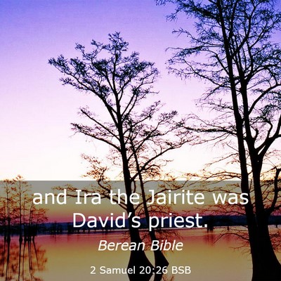 Picture 03 - 2 Samuel 20:26 BSB - and Ira the Jairite was David’s - Bible Verse Picture