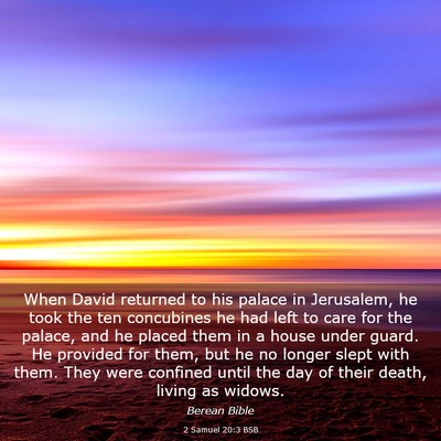 Picture 03 - 2 Samuel 20:3 BSB - When David returned to his palace in Jerusalem, - Bible Verse Picture