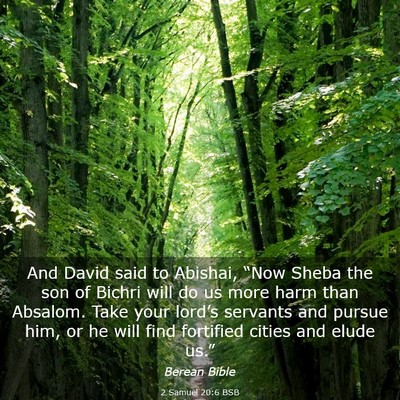 Picture 03 - 2 Samuel 20:6 BSB - And David said to Abishai, “Now Sheba the son - Bible Verse Picture