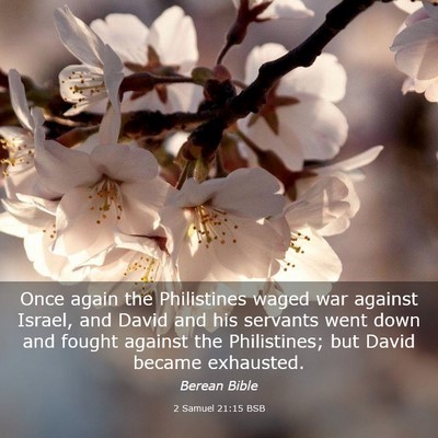 Picture 03 - 2 Samuel 21:15 BSB - Once again the Philistines waged war against - Bible Verse Picture