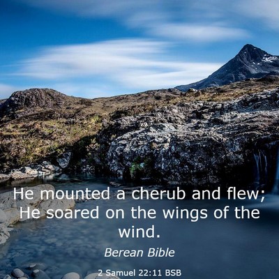 Picture 03 - 2 Samuel 22:11 BSB - He mounted a cherub and flew; He soared on the - Bible Verse Picture
