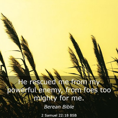Picture 03 - 2 Samuel 22:18 BSB - He rescued me from my powerful enemy, from foes - Bible Verse Picture