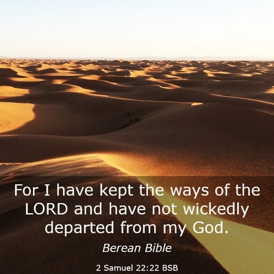 Picture 03 - 2 Samuel 22:22 BSB - For I have kept the ways of the LORD and have not - Bible Verse Picture