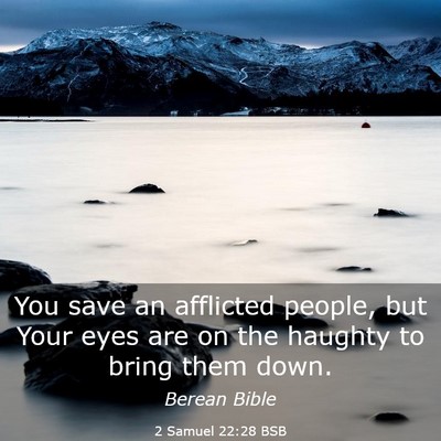 Picture 03 - 2 Samuel 22:28 BSB - You save an afflicted people, but Your eyes are - Bible Verse Picture