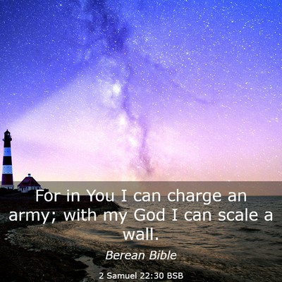 Picture 03 - 2 Samuel 22:30 BSB - For in You I can charge an army; with my God I - Bible Verse Picture